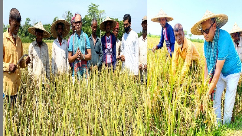 আধুনিক প্রযুক্তির ব্যবহারে বদলে যাচ্ছে কৃষিঃ  ডক্টর সামছুল হক চৌধুরী